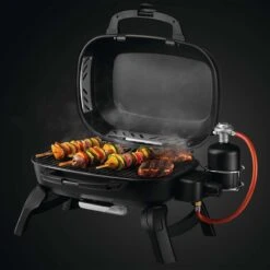 Napoleon TravelQ 240 Gasgrill, Schwarz -GrillMeister Geschäft 203e82e883786154ae948186bf42659f