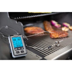 Broil King Seitenablagen Thermometer, 2 Fühler -GrillMeister Geschäft broil king digitales grillthermometer d1eeb50477bdf7dd521151a6d1df407a