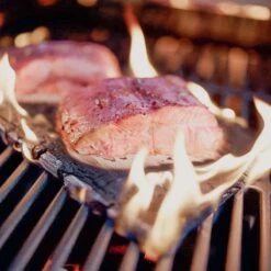 SANTOS Fischgrillset, Fischbräter, Gewürz Und Zedernholzplanke -GrillMeister Geschäft decbb1249ece9848e43a6ab09116fa86