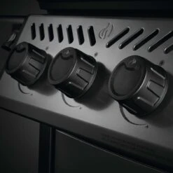 Napoleon Freestyle 365, 3 Hauptbrenner, Graphit 18 Napoleon Freestyle 365, 3 Hauptbrenner, Graphit -GrillMeister Geschäft napoleon freestyle 365 3 hauptbrenner graphit 2f1eb5625778b5d7f71403fa55cda22e