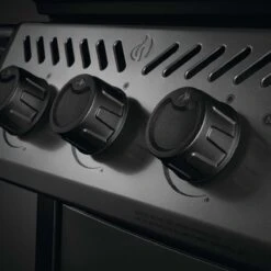 Napoleon Freestyle 425, 4 Hauptbrenner, Mit Sizzle Zone Seitenbrenner, Graphit -GrillMeister Geschäft napoleon freestyle 425 4 hauptbrenner mit sizzle zone seitenbrenner graphit 20c7cb3c006a738a4d7762835f80460a