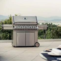 Napoleon Prestige Pro 665, Edelstahl Inkl. Drehspieß -GrillMeister Geschäft napoleon pakpro665rsibpss 3 inkl drehspie ba9378e569a68aab8c228f4cc0213cc6