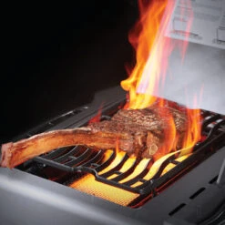 Napoleon Gasgrill Prestige 665, Edelstahl -GrillMeister Geschäft napoleon prestige p665rsibpss edelstahl 86c258b56293bfa624afb292d061b043