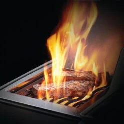 Napoleon Rogue XT 425, Schwarz -GrillMeister Geschäft napoleon rogue xt 425 schwarz sizzle zone 5ab2050bfa003976d4e7e3c1901bf177